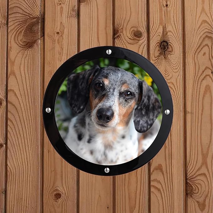 2 Pack Dog Fence Window, Plastic Pet Dome Clear View Pet Peek Window for Dog, Cat, Horse, Pet Supply, 12.4 x 4.9 Inch
