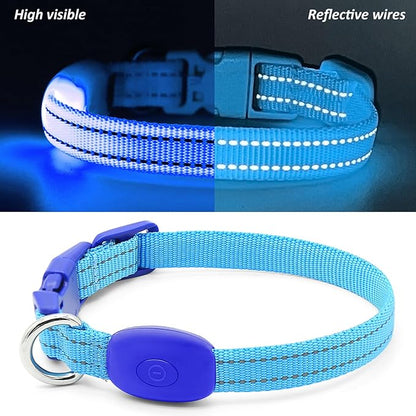 Illumifun LED Collar for Small Dogs - USB Rechargeable Dog Safety Collar Light, Adjustable Nylon Webbing Light Up Collar for Your Pups (Blue, X-Small)