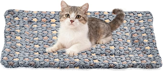 Dog Cat Bed Mat, Soft Coral Fleece Pet Cushion Pad with Cute Star Print, Warm Washable Pet Bed 23x18 Inches, (Dark Gray), Intended for Medium Small Dog Cat