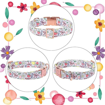 Cute Dog Collar, Spring Summer Pastel Dog Collars, Fruit Garden Dream Puppy Collar, Adjustable Heavy Duty Pet Collar for Small Medium Large Dogs with Metal Buckle XL