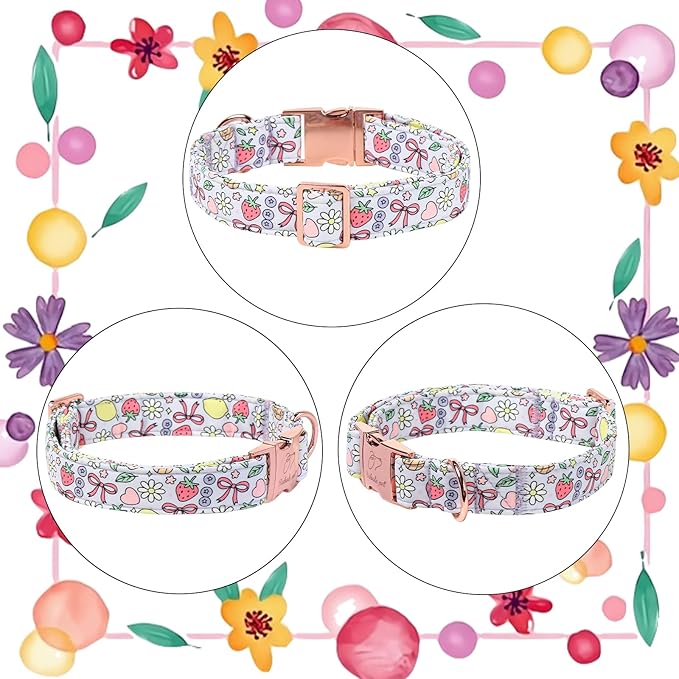 Cute Dog Collar, Spring Summer Pastel Dog Collars, Fruit Garden Dream Puppy Collar, Adjustable Heavy Duty Pet Collar for Small Medium Large Dogs with Metal Buckle L