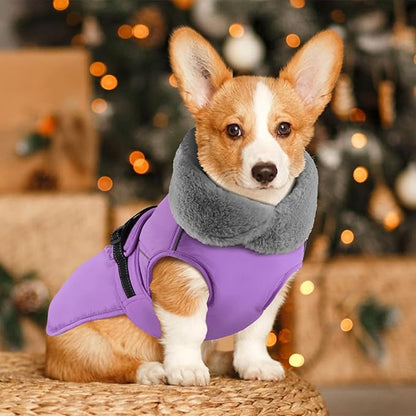PETDSH Dog Coat Large, Windproof Dog Jacket with Warm Fleece Lining, Thickened Collar Dogs Winter Coat, Adjustable Reflective Pet Coats for Cold Weather (Purple, XXX-Large)