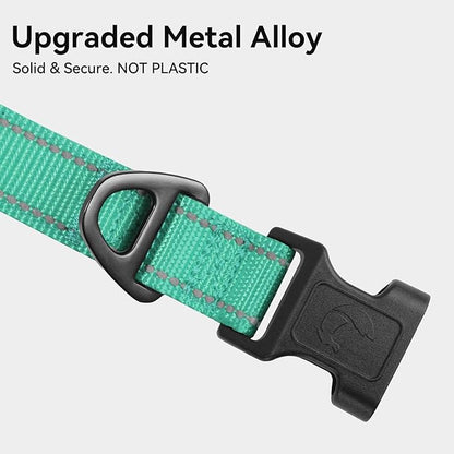 Joytale Reflective Dog Collar, Soft Neoprene Padded, Metal D-Ring, Nylon Pet Collar Adjustable for Small Dogs, Teal, S