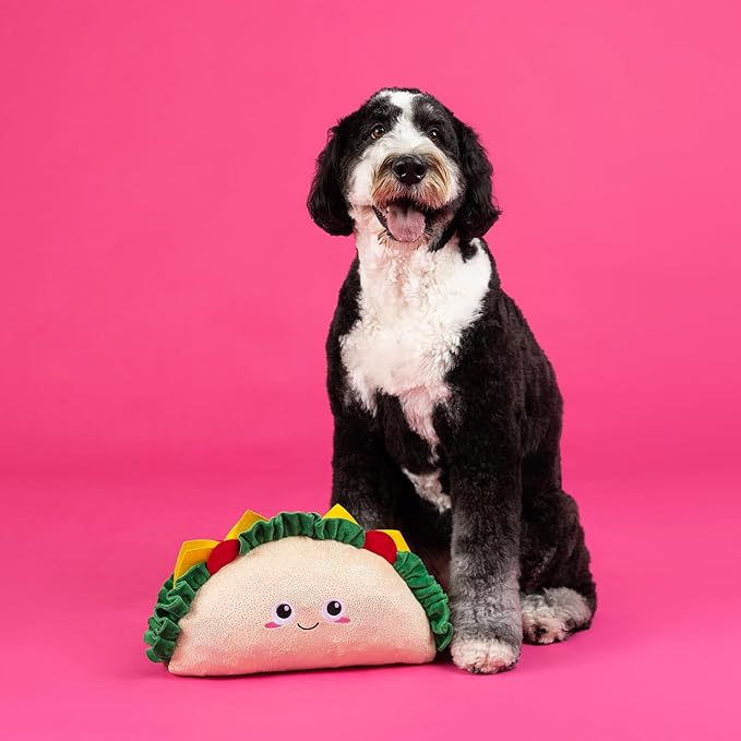 Fringe Studio Large Plush Dog Toy, FANTAS-Taco!, 16.5" Wide x 9" Tall, Pet Shop Collection (728023)