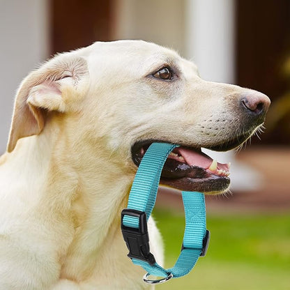 Buryeah 12 Pieces Dog Collar Bulk Adjustable Soft Nylon Puppy Dog Collars with Safety Buckle Collar Bulk for Medium Dogs Walking Running Training(Mixed Colors)