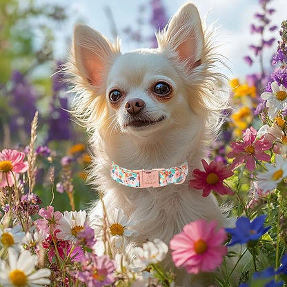Floral Dog Collar - Cute Summer Flowers Dog Collars for Giant Large Dogs, Durable Adjustable Male Female Puppy Collar with Metal Buckle XL