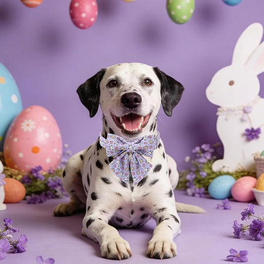 Maca Bates Easter Day Egg Dog Collar with Sailor Bow Tie for Extra Small Girl Boy Dogs, Purple Cute Bunny Rabbit Pattern,Adjustable Durable Soft Breakaway Collars for Male Female Puppy