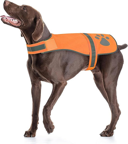 Candofly Safety Reflective Dog Vest High Visibility Pet Hunting Vest Lightweight Dog Jacket for Night Walking Hunting Camping (Orange, XX-Large)