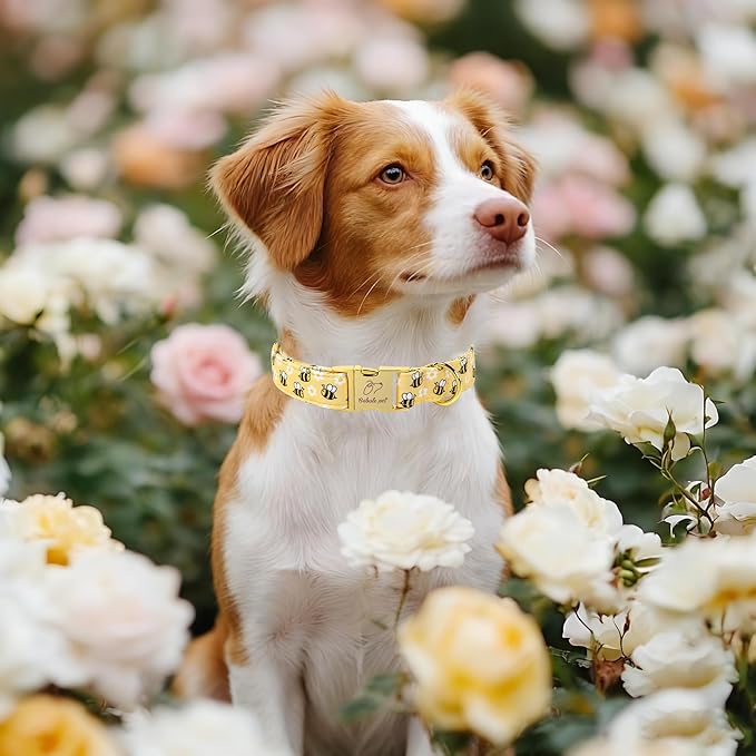Yellow Bee Dog Collar, Cute Spring/Summer Cartoon Boy Girl Dog Collars, Adjustable Heavy Duty Male Female Dogs Collar for Small Medium Large Dogs with Metal Buckle M