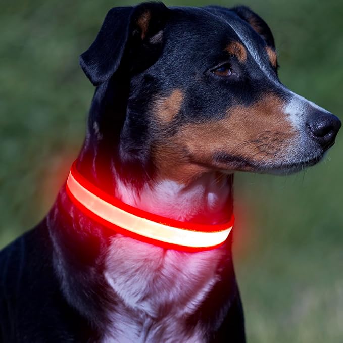 Vizpet LED Dog Collar, Light Up Dog Collar Adjustable USB Rechargeable Super Bright Safety Light Glowing Collars for Dogs(Small,Red)
