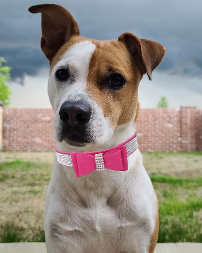 Bling Dog Collar for Small Medium Large Dogs, Crown Rhinestone Dog Collars for Girl and boy Dog, Diamond Puppy Collars, Adjustable Leather Suede SOFE Cat Collar (S(10.6"-13"/27CM-33CM), Rose Red3)