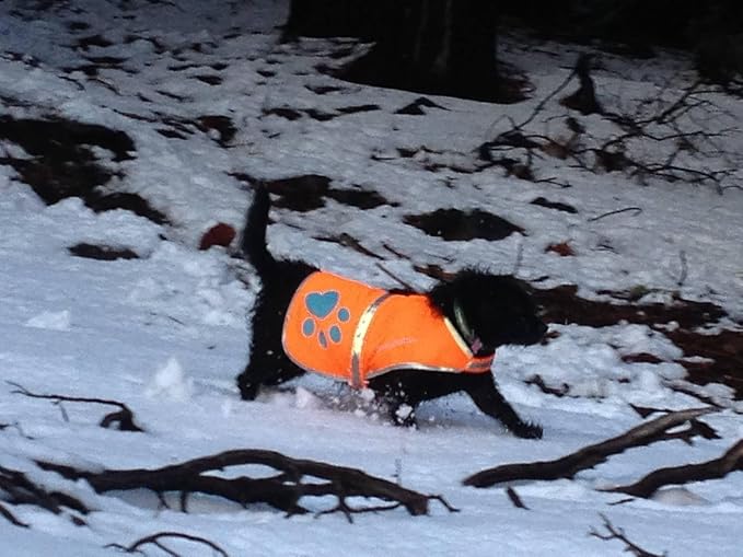 SafetyPUP XD Reflective Dog Vest. Hi-Visibility, Fluorescent Blaze Orange Dog Vest Helps Protect Your Best Friend. Safeguard Your PUP from Motorists & Hunting Accidents, On or Off Leash (Small)