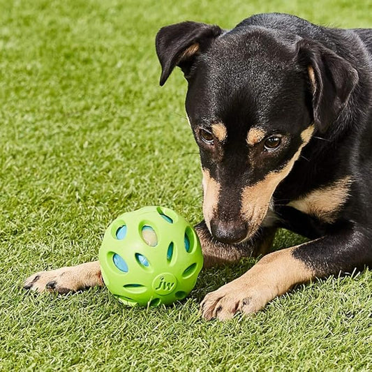 JW Pet Crackle Heads Crackle Ball Crunchy Noise Chew Fetch Toy for Dogs, Assorted Colors, Large 4' Diameter