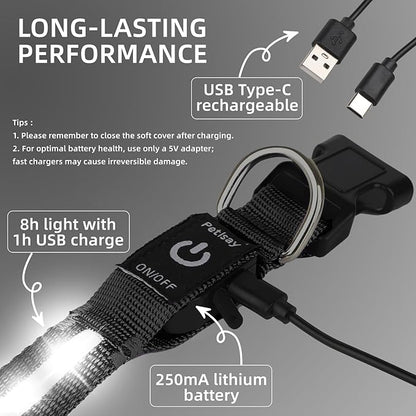 Super Bright LED Dog Collar - Fully Waterproof & Adjustable Glow Collar - USB-C Rechargeable for Night Walking, Safety - Flashing Lighted Collar for Dogs(White,L)