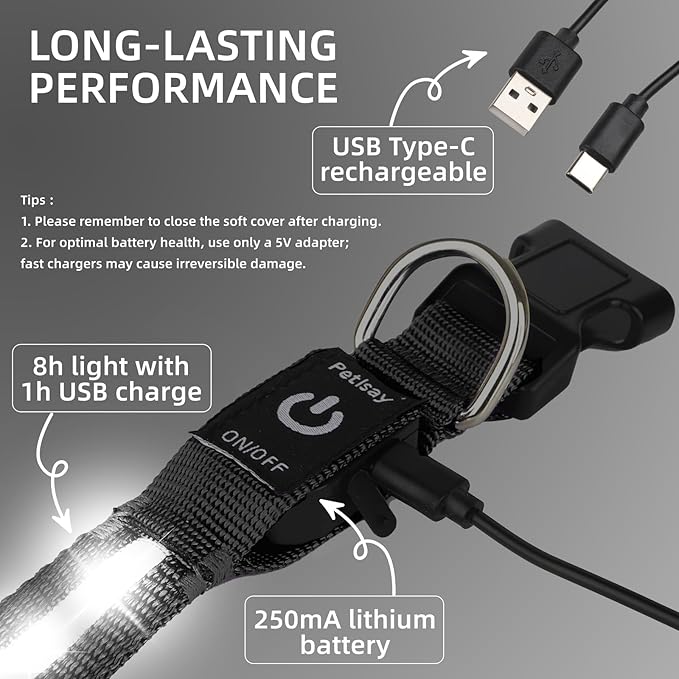 LED Dog Collar for Small Dogs Cats - Fully Waterproof & Adjustable Glow Collar - USB-C Rechargeable for Night Walking, Safety - Flashing Lighted Collar for Dogs(White,S)