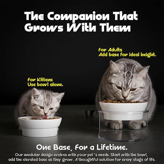 LivLab Mker Raised Cat Bowl, Elevated Cat Food Bowls with Stand - 15° Tilted Shallow Cat Dish for Whisker Fatigue Relief, 4.5" Height for Easy Feeding, Lead & Cadmium Free Melamine Bowl, White