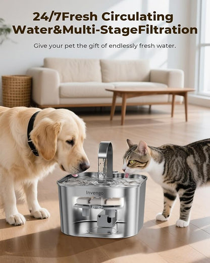 Cat Water Fountain Stainless Steel: 74oz/2.2L Cat Fountain for Drinking | Quiet Cats Water Bowl Dispenser | Pet Water Fountain for Cats Inside | Easy-to-Clean Kitty Drinking Fountains for Small Pets