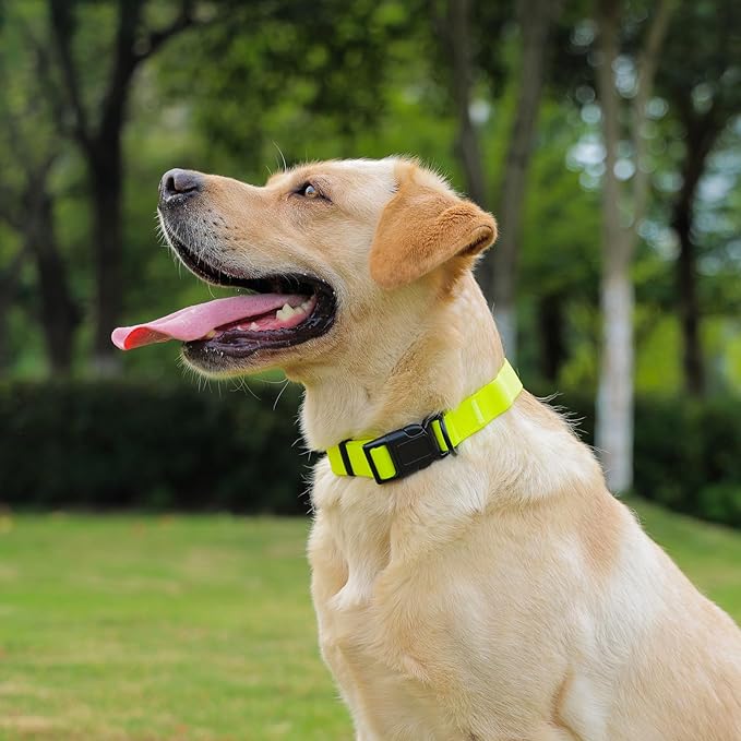Waterproof Dog Collar, Easy to Clean Rubber Dog Collars with Quick Release Buckle Fits Small Medium or Large Dogs (Yellow, S < 9.5-14.1 inch)