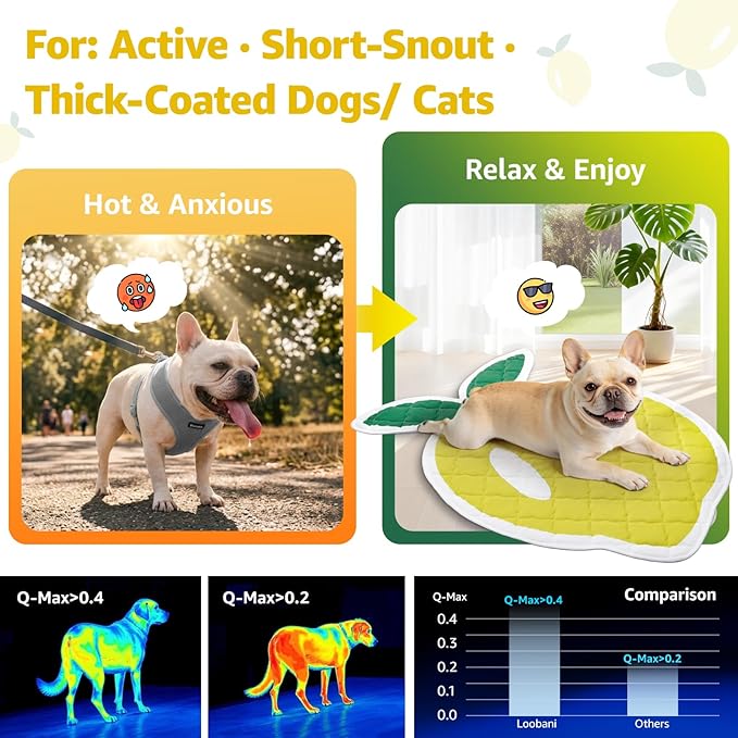 LOOBANI Dog Cooling Mat 38"x50"- Cute Lemon Design Cooling Mat for Dogs (Cool & Warm Side), Waterproof Self-Cooling Mat for Crate, Floor, Car for Small Dogs, Cats, Pet, Yellow 38x50 in