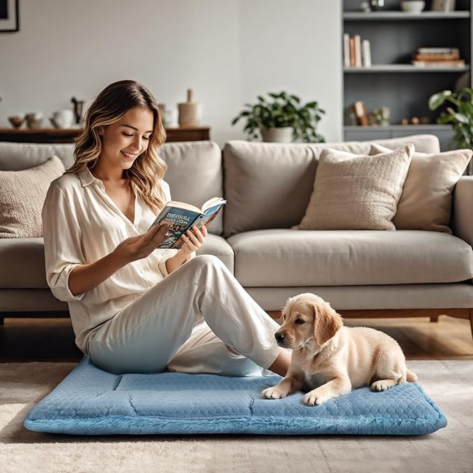 Dog Bed Mat, Crate Pad Reversible,Soft Kennel Pad, Washable Dog Crate Mat (Cool and Warm),Pet Sleeping Mattress for Small Medium Dogs XB009 (24''x18'',Blue)