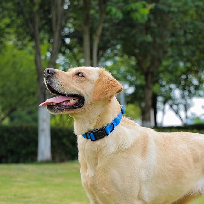 Waterproof Dog Collar, Easy to Clean Rubber Dog Collars with Quick Release Buckle Fits Small Medium or Large Dogs (Blue, M < 11.8-18.5 inch)