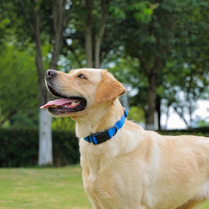 Waterproof Dog Collar, Easy to Clean Rubber Dog Collars with Quick Release Buckle Fits Small Medium or Large Dogs (Blue, M < 11.8-18.5 inch)