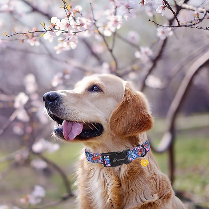ARING PET Floral Dog Collar, Cute Blue Pink Orange Spring Summer Flower Doggy Pet Collars for Puppy Small Medium Large Girl Female Dogs-L