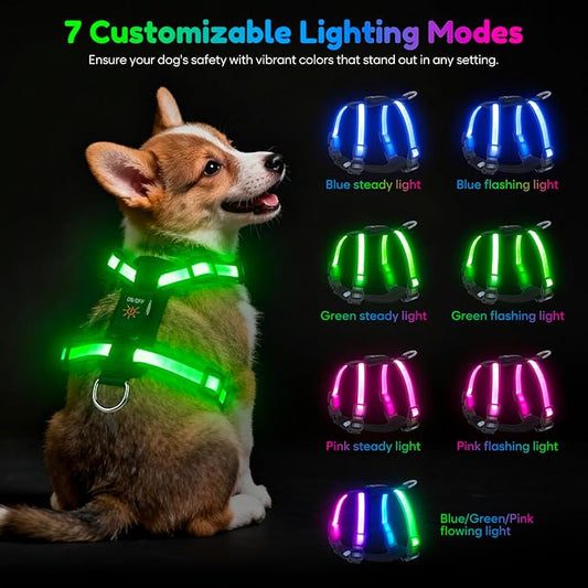 Light Up Dog Harness LED USB-C Rechargeable with Battery Indicator, Lighted Glow in The Dark Dog Harness Adjustable No-Pull Vest for Small Dogs, 7 Lighting Modes for Night Safety