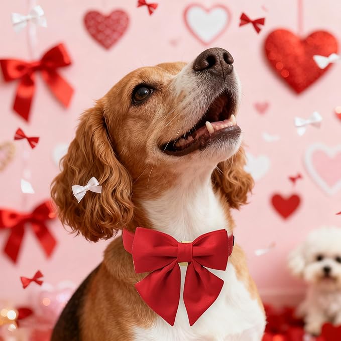 Maca Bates Red Dog Collar with Cute Solid Sailor Bow Tie for Extra Small Girl Boy Dogs,Girly Adjustbale Durable Breakaway Soft Collars with Bowtie for Female Male Puppy,Pet with Metal Buckle