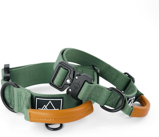 Made to ROAM Premium Explorer Control Collar - Adjustable Heavy Duty Nylon Dog Collar with Quick-Release Metal Buckle and Leather Handle (Oregon Haze, Size 2, Control)