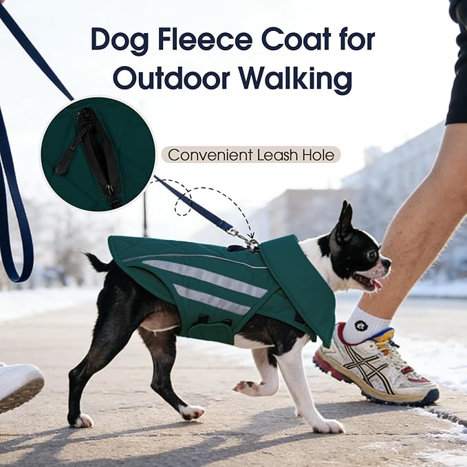 IECOii Dog Jacket for Broad & Deep-Chested Breeds- Reflective Winter Warm Coats Waterproof Vest Jacket Adjustable Cold Weather Coats, Snow & Rain Vests for Large Pets, Doberman, Green, Sizes 2XL