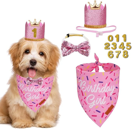 PTDECOR Dog Birthday Party Supplies, Multi Size Birthday Girl Bandana, Pink Crowns Hat Set for Small Pets (Small)