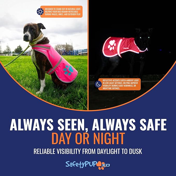 SafetyPUP XD Dog Reflective Vest – Hi-Vis Fluorescent Visibility That Helps to Safeguard Your Pet On/Off Leash in Urban & Rural Areas (Pink, Small)