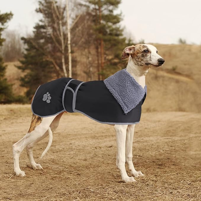Geyecete Dog Winter Coat Geyecete Greyhound Raincoat Fabric with Lamb Velvet Inside Outdoor Dog Apparel with Adjustable Bands for Medium, Large Dog-Black-XS