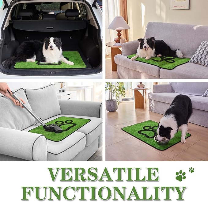 Qeils Dog Door Mat for Muddy Paws 35x24, Absorbs Moisture and Dirt, Absorbent Non-Slip Washable Dog Rug, Mud Mats for Dogs, Entry Indoor Door Mat for Inside Floor, Green