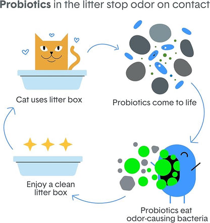 Boxie Probiotic Cat Litter, 40 Day Odor Control, Clumping Clay Kitty Litter, Odor Eliminating Probiotics, Dust-Free, No Fragrances No Fillers, 40 lb