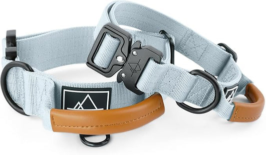 Made to ROAM Premium Explorer Control Collar - Adjustable Heavy Duty Nylon Dog Collar with Quick-Release Metal Buckle and Handle (Alaska Daybreak, Control Size 4)
