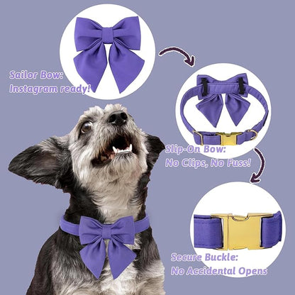 Maca Bates Purple Dog Collar with Cute Petunia Solid Sailor Bow Tie,Small Girl Boy Dogs,Girly Adjustbale Durable Breakaway Soft Collars with Bowtie for Female Male Puppy,Pet with Metal Buckle