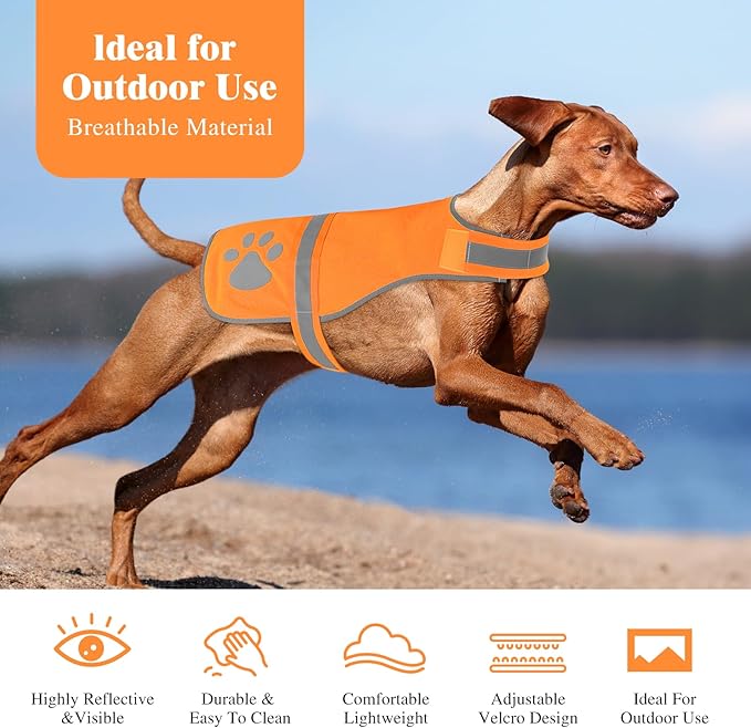 Candofly Safety Reflective Dog Vest High Visibility Pet Hunting Vest Lightweight Dog Jacket for Night Walking Hunting Camping (Orange, XX-Large)
