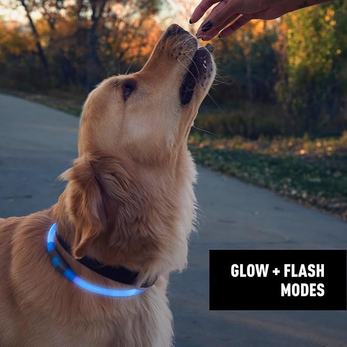 Nite Ize NiteHowl Rechargeable LED Safety Necklace - Dog Light for Dog-Walking Gear - Weather-Resistant Design - 5 Hours Runtime - Cut to Fit from 12” to 27” - Blue