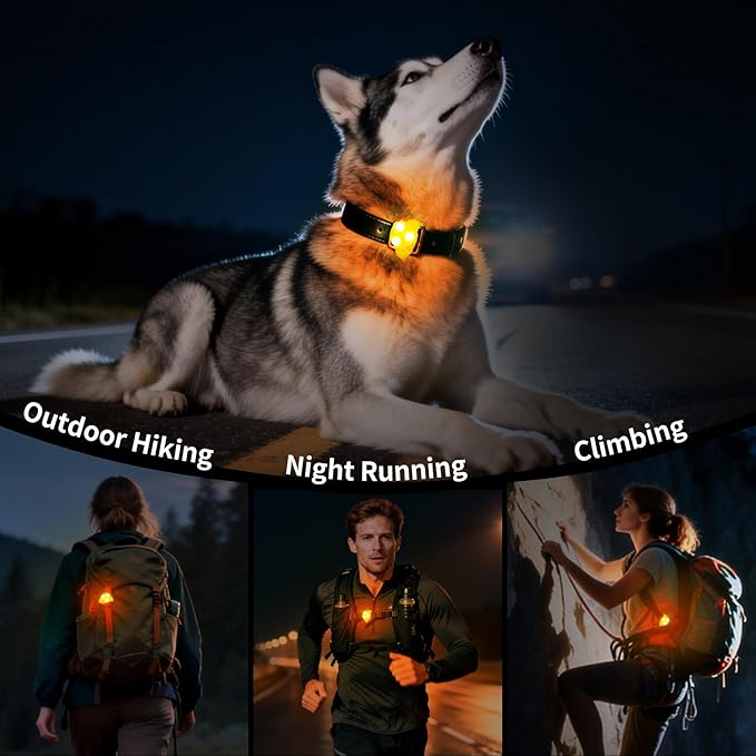 LaRoo Dog Lights for Night Walking, LED Dogs Collar Lights for Nighttime Clip On Light up Dog Collar Pet Camping Essentials （Orange）