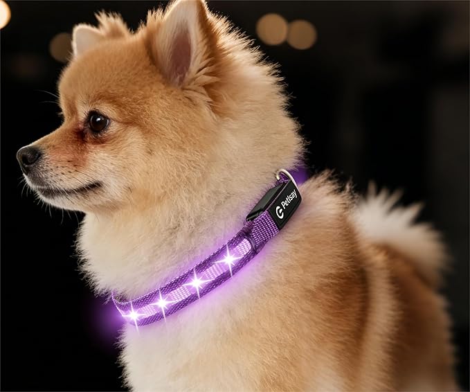 LED Dog Collar for Small Dogs Cats - Fully Waterproof & Adjustable Glow Collar - USB-C Rechargeable for Night Walking, Safety - Flashing Lighted Collar for Dogs(Purple,XS)