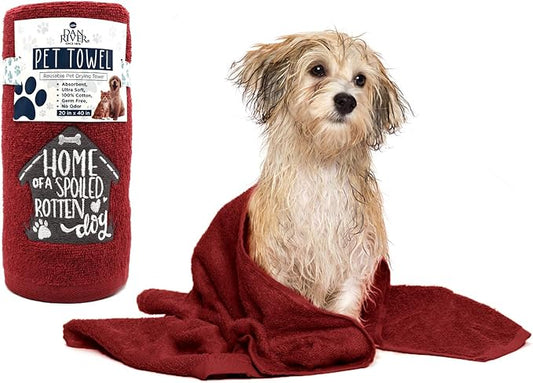 DAN RIVER Dog Towel - Pack of 1, 100% Cotton, 20x40, Ultra Soft 450 GSM, Super Absorbent & Quick Drying Towel for Dogs, Cats, and Other Pets, Salsa.