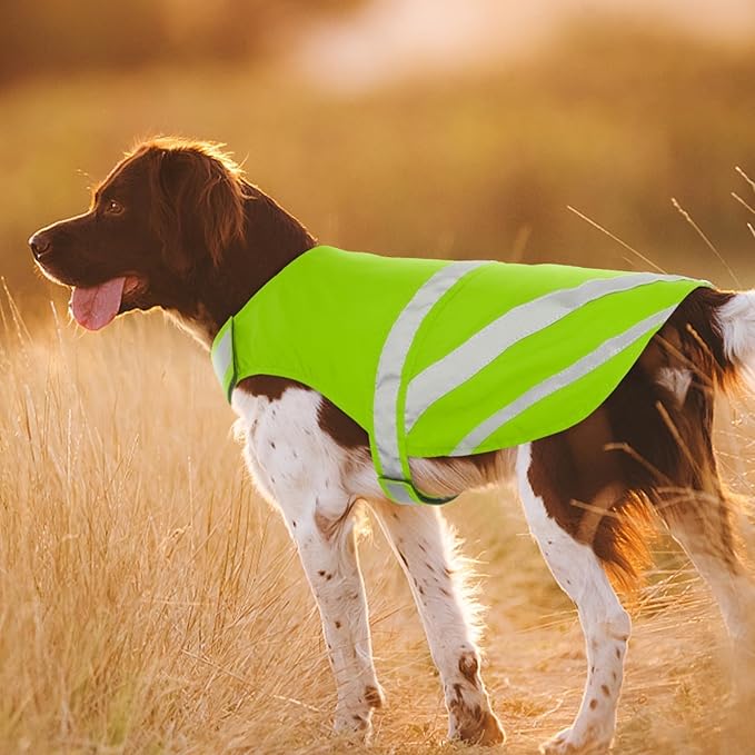 Kuoser Reflective Dog Vest, High Visibility Safety Vest for Medium to Large Dogs, Lightweight Pet Reflective Vests for Hunting Outdoor Activities Walking at Night, Fluorescent Green L