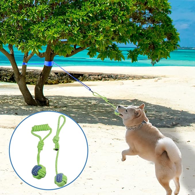 DGSL Outdoor Hanging Bungee Dog Toy - Interactive Dog Tug Toy with 2 Chew Rope Toys for Small to Large Dogs - Best for Tug of War, Bite Training, Pull Exercise, Solo Play