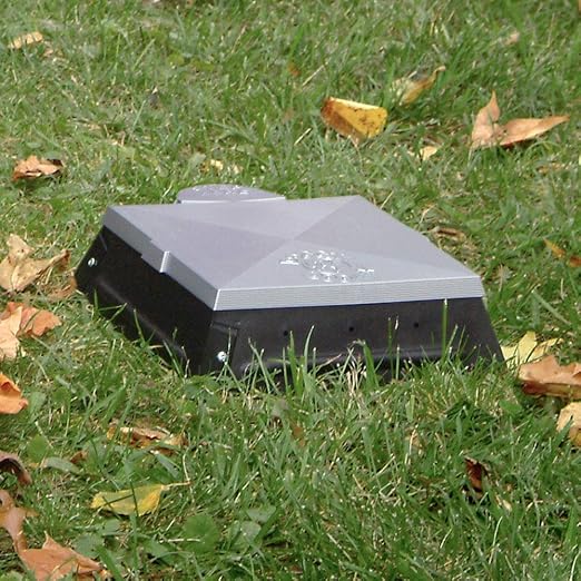 Doggie Dooley 3535 35th-Anniversary Leach-Bed-Style Pet-Waste Disposal System Large