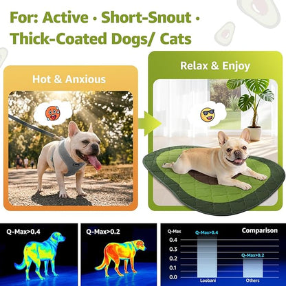 LOOBANI Dog Cooling Mat 40"x28"- Cute Avocado Design Cooling Mat for Dogs (Cool & Warm Side), Waterproof Self-Cooling Mat for Crate, Floor, Car for Small Dogs, Cats, Pet Green 40"x28"