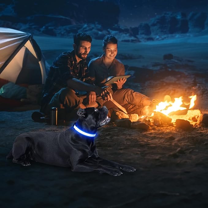 Illumifun LED Collar for Dogs, USB Rechargeable Light Up Dog Collars Glow in The Dark (Blue, Small)
