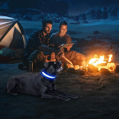 Illumifun LED Collar for Dogs, USB Rechargeable Light Up Dog Collars Glow in The Dark (Blue, Small)