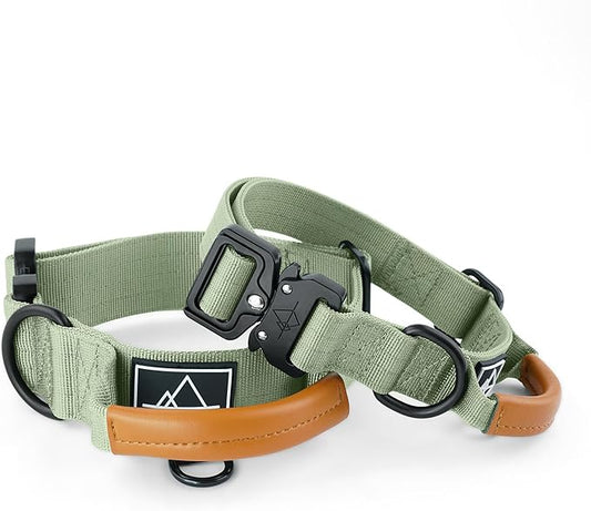 Made to ROAM Premium Explorer Control Collar - Adjustable Heavy Duty Nylon Dog Collar with Quick-Release Metal Buckle and Handle (Washington Rain, Control Size 2.5)